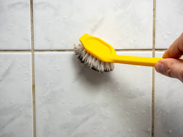Best Basement Mold Remediation in Union Beach, NJ