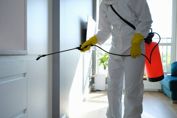Trusted Union Beach, NJ Mold Remediation Experts