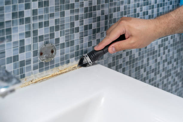Best Preventive Mold Services in Union Beach, NJ