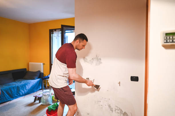 Best Residential Mold Remediation in Union Beach, NJ